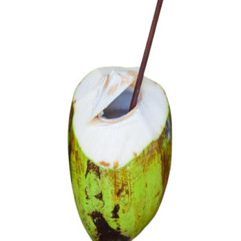 Cocunut | Nariyal Pani | नारळ पाणी